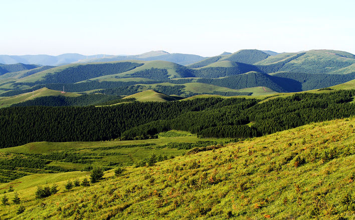 张北坝上中都草原、风电观景塔汽车三日游(下午出发) 张北坝上中都草原、风电观景塔汽车三日游(下午出发)