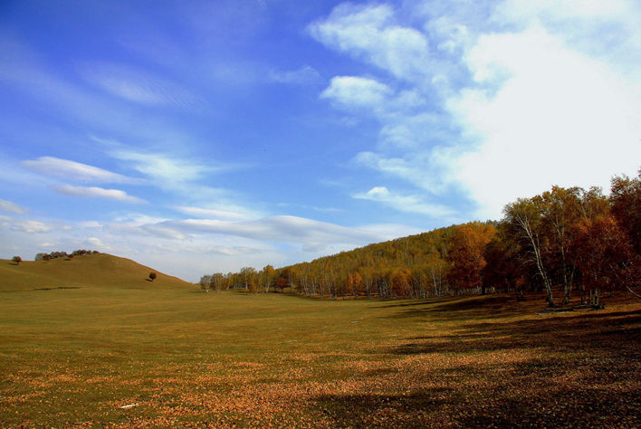 桦皮岭自然风景区
