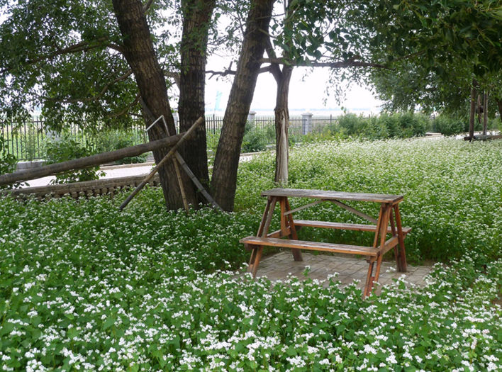 水云间假日会馆