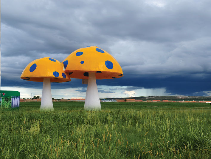 张北坝上草原、草原天路、张家口冬奥小镇崇礼汽车二日游 张北坝上草原、草原天路、张家口冬奥小镇崇礼汽车二日游