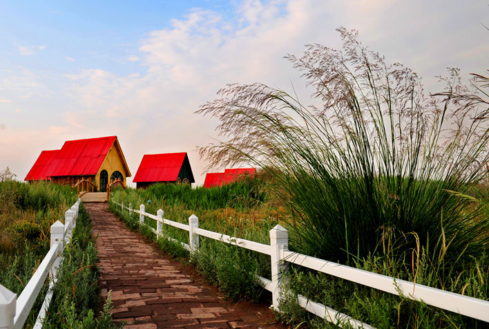 张北坝上中都草原、风电观景塔汽车二日游(团队行程) 张北坝上中都草原、风电观景塔汽车二日游(团队行程)